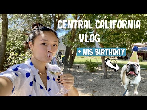 CENTRAL CALIFORNIA COAST Travel Vlog - Paso Robles, Atascadero, Morro Bay, Pismo Beach