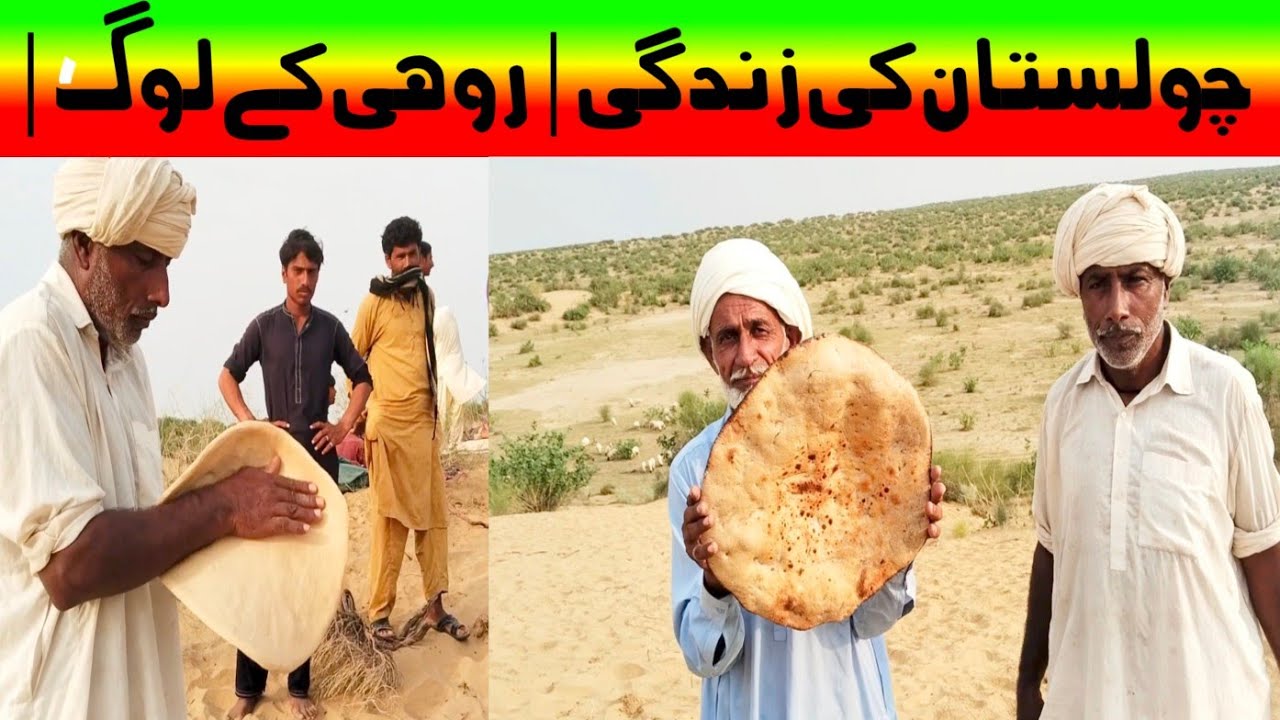 Pakistani Village Life In Desert Near India Border | Rohi Cholistan | Cholistani Cammale | چولستان