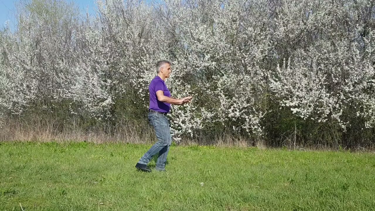 Tirer - pousser en pressant la planche sur l'eau. Pull and push while pressing a board on the water.