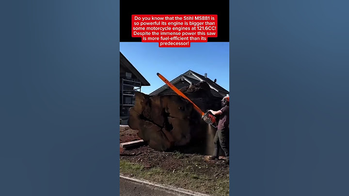 Stihl MS 881, Biggest Chainsaw in the World! #engineering #didyouknow #forest #woodworking
