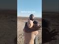 How to do a Rear Naked Choke