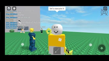 Fe body flying script (made by me)