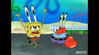 Passive/Assertive/Aggressive Communication Spongebob