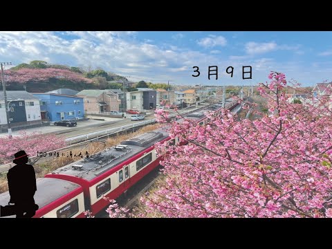 【ヴァイオリ二スト竜馬】３月９日 cover