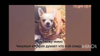 мемас #1