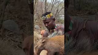 Hadzabe Tribe bush people take whatever nature gives to survive