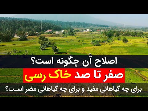 تصویری: آیا خاک رسی به خوبی زهکشی می کند؟