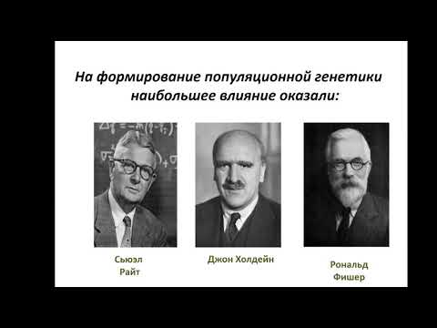 Практическое занятие №16  Генетическая структура популяции.