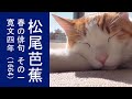 【ネコと俳句#21】松尾芭蕉　春の俳句　1/24　寛文四年（1664）　姥桜さくや老後の思ひ出、より