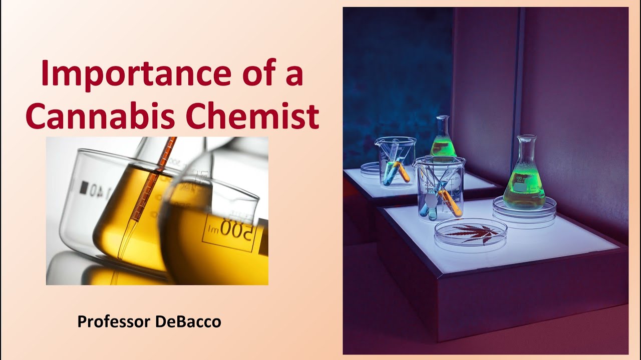 Importance of a Cannabis Chemist