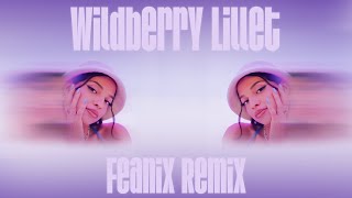 Nina Chuba - Wildberry Lillet (Feanix Remix) Resimi