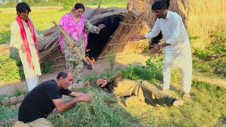 BANDA BANDA SARDAR|ALIA MALIK AND TEAM NEW VIDEO|2024