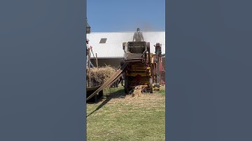 Avery Road Locomotive Steam Traction Engine & Belt Drive Thresher