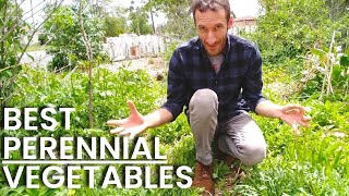 5 Delicious PERENNIAL Vegetables [Come Back Every Year!]  Grow More Food At Home!