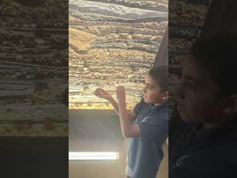 متحف عمان عبر الزمان