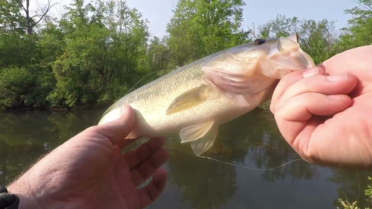 Canal Bass Fishing
