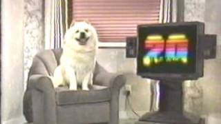 KOFY TV-20 Dog named MEKO from 1987