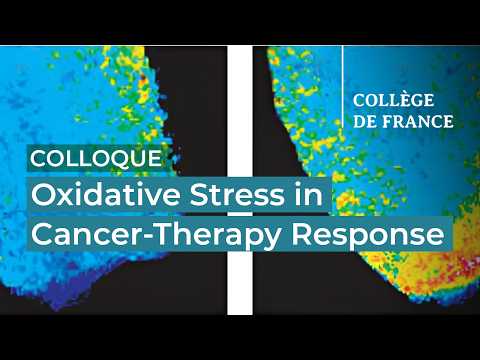 Oxidative Stress in Cancer-Therapy Response (1) - Hugues de Thé (2025-2026)
