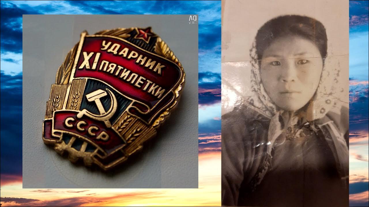 хэнтэй-даурское нагорье. природа забайкальского края витим. река тарбагатай забайкальский край. багульник забайкальский край тунгокоченский район. природа забайкальского края багульник.