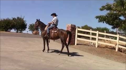 3 Exercises To Cure The Barn Sour Horse, Mike Hughes, Auburn Ca.