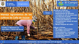 Manejo Agronómico de los cultivos de Caña de Azúcar. - YouTube