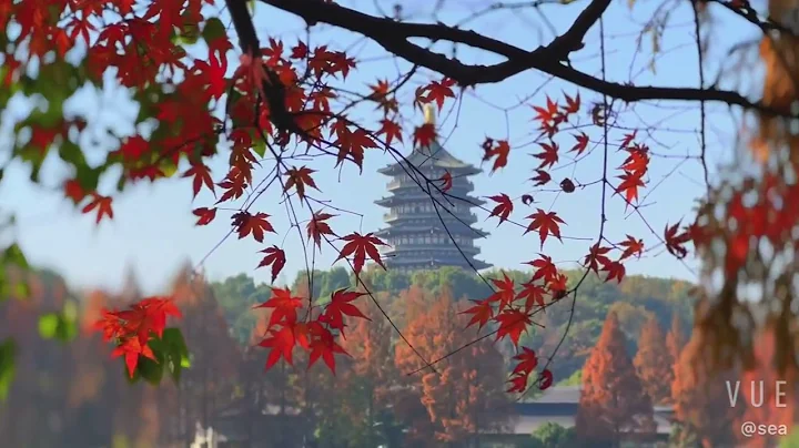 The colorful leaves of the trees around the West Lake - DayDayNews