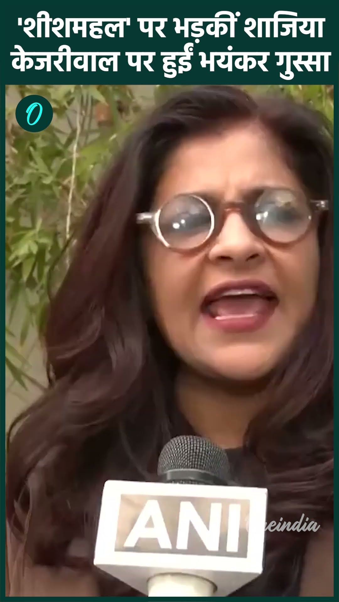 Delhi Election 2025: बीजेपी प्रवक्ता Shazia Ilmi ने केजरीवाल को सुना डाला | वनइंडिया हिंदी #Shorts