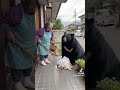 クマに説教するおばあちゃんw #shorts #チャンネル登録お願いします #拡散希望 #急上昇 #おすすめ #バズれ #ai #説教 #おもしろ #tiktok #amazing