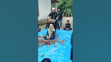 Thumbnail of Atraksi Srikandi Pagar Nusa Kertosono #shorts