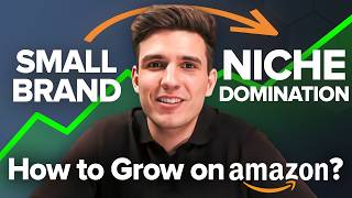 How We Grew a Small Brand to $585K/Year Profit on Amazon