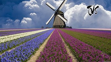 Ta Còn Nợ Gì Nhau - Sáng Tác: Hoài An, Ca SĨ: Bạch Công Khanh