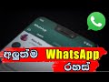 NEW WhatsApp update | whatsapp secret tricks and tips sinhala | sybare සයිබරේ