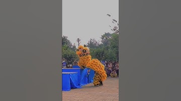 Thumbnail of BARONGSAI SALTO