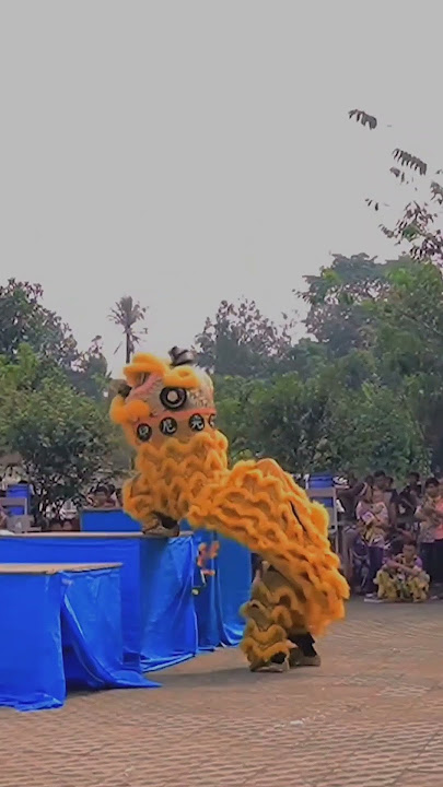 BARONGSAI SALTO