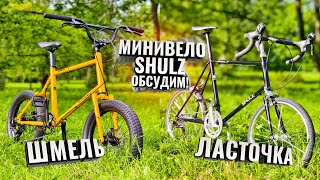 :  Shulz.     