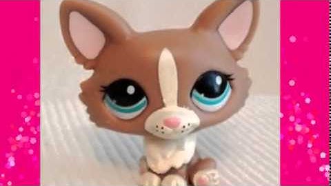 Intro for LPS Corgi TV