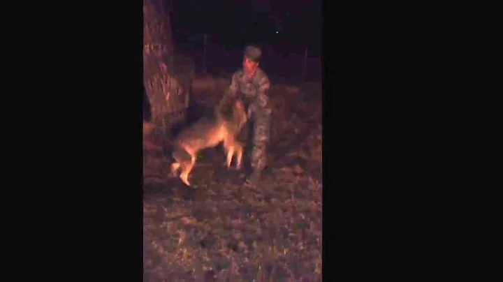 A great welcome home from deployment from my Wolf!