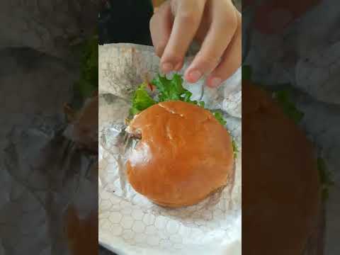 Wendy's Dave's Single