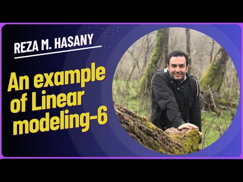Solving Real-World Problems with Linear Programming  Practical Example