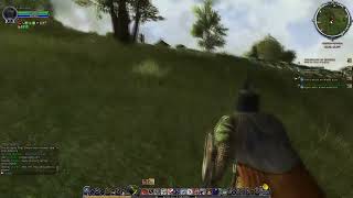 When you are Drunk and on Drugs at the Same time and you decide to go for a walk - LOTRO