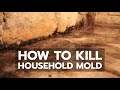 How to Kill Household Mold