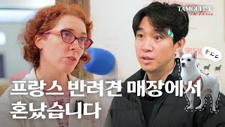 ⏰10분의 식사 법칙?! 프랑스식 반려견 훈련 방법 (목줄, 지하철)