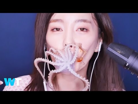 ASMR YouTuber Eats LIVE OCTOPUS and Viewers Are Not Happy!
