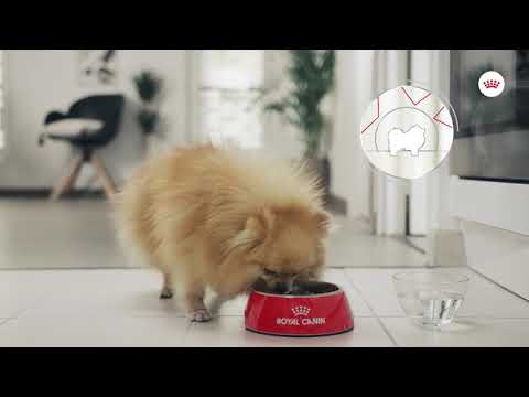 ROYAL CANIN® RELAX CARE