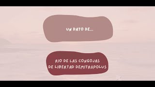 Un dato de Rio de las congojas de Libertad Demitrópolus