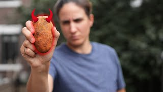 Le côté obscur de la patate