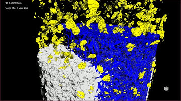 Visualization of Belgian Fieldstone pore and solid space