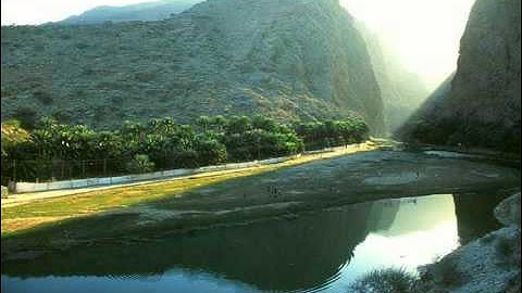 سورة الحج الدوكالي محمد العالم