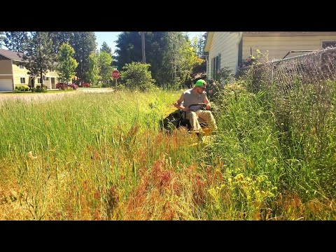 The Most OVERGROWN Lawn I've Ever Mowed | FREE Makeover For Neighborhood