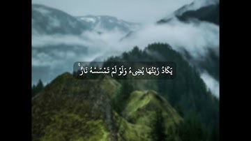 اللَّهُ نُورُ السَّمَاوَاتِ وَالْأَرْضِ ( نُورٌ عَلَىٰ نُورٍ ) تلاوة مؤثرة القارئ عبدالرحمن الحمادي